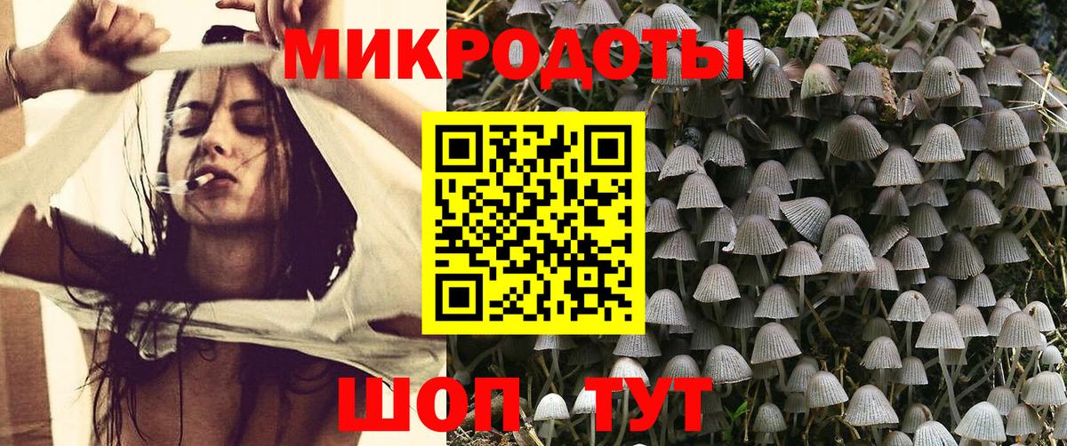 Псилоцибиновые грибы Magic Shrooms  цены наркотик  Кирово-Чепецк  Вход с VPN 